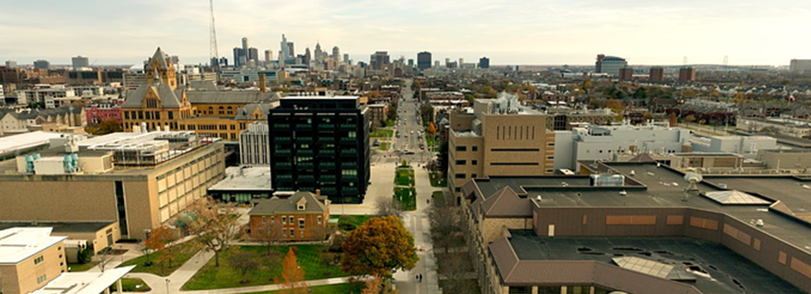 Detroit skyline from WSU main campus